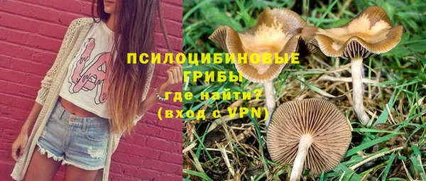 ПСИЛОЦИБИНОВЫЕ ГРИБЫ Алексин