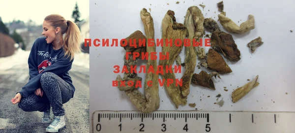 молекула духа Алзамай
