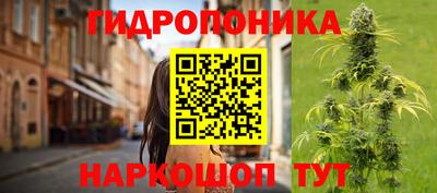 ALPHA PVP Пушкино