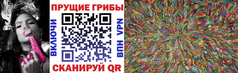 mega маркетплейс  купить наркотики сайты  Шуя  Псилоцибиновые грибы прущие грибы 