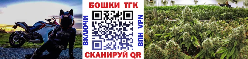 Бошки Шишки THC 21%  Шуя 